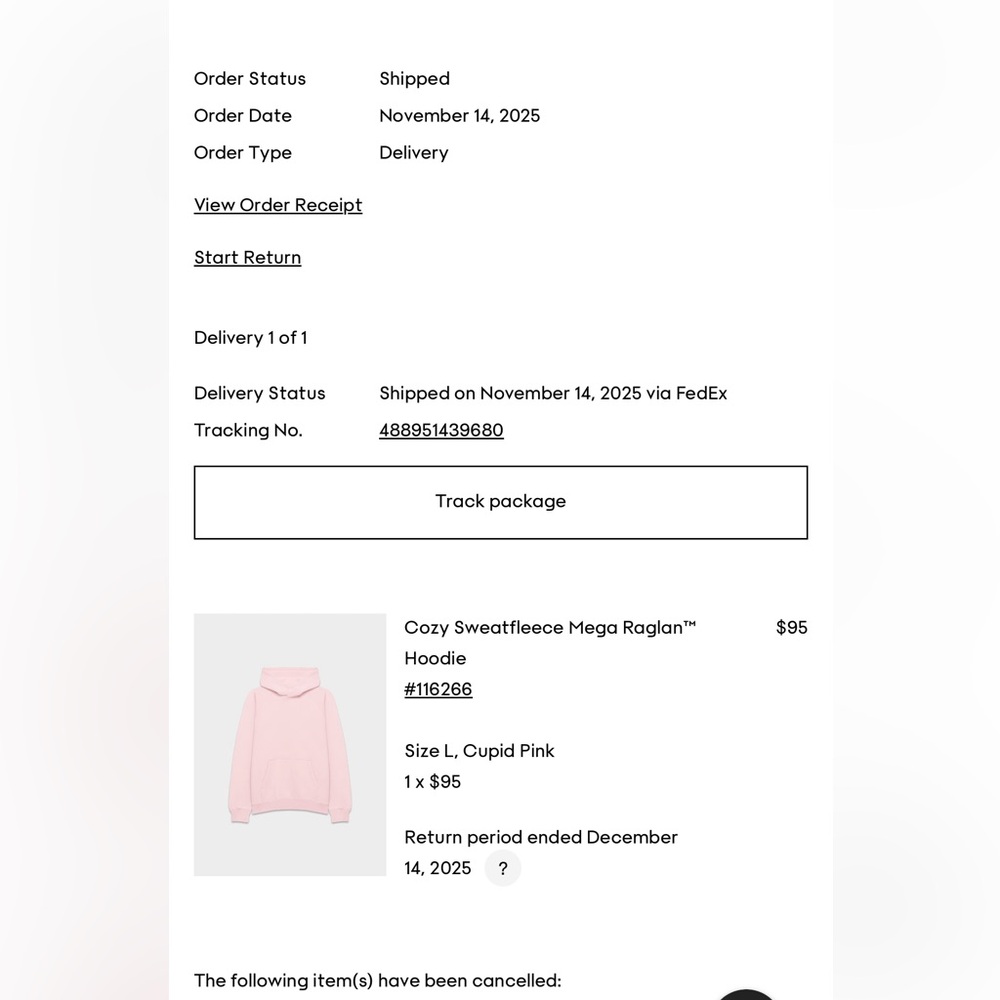 Aritzia Cupid Punk Mega Raglan Hoodie